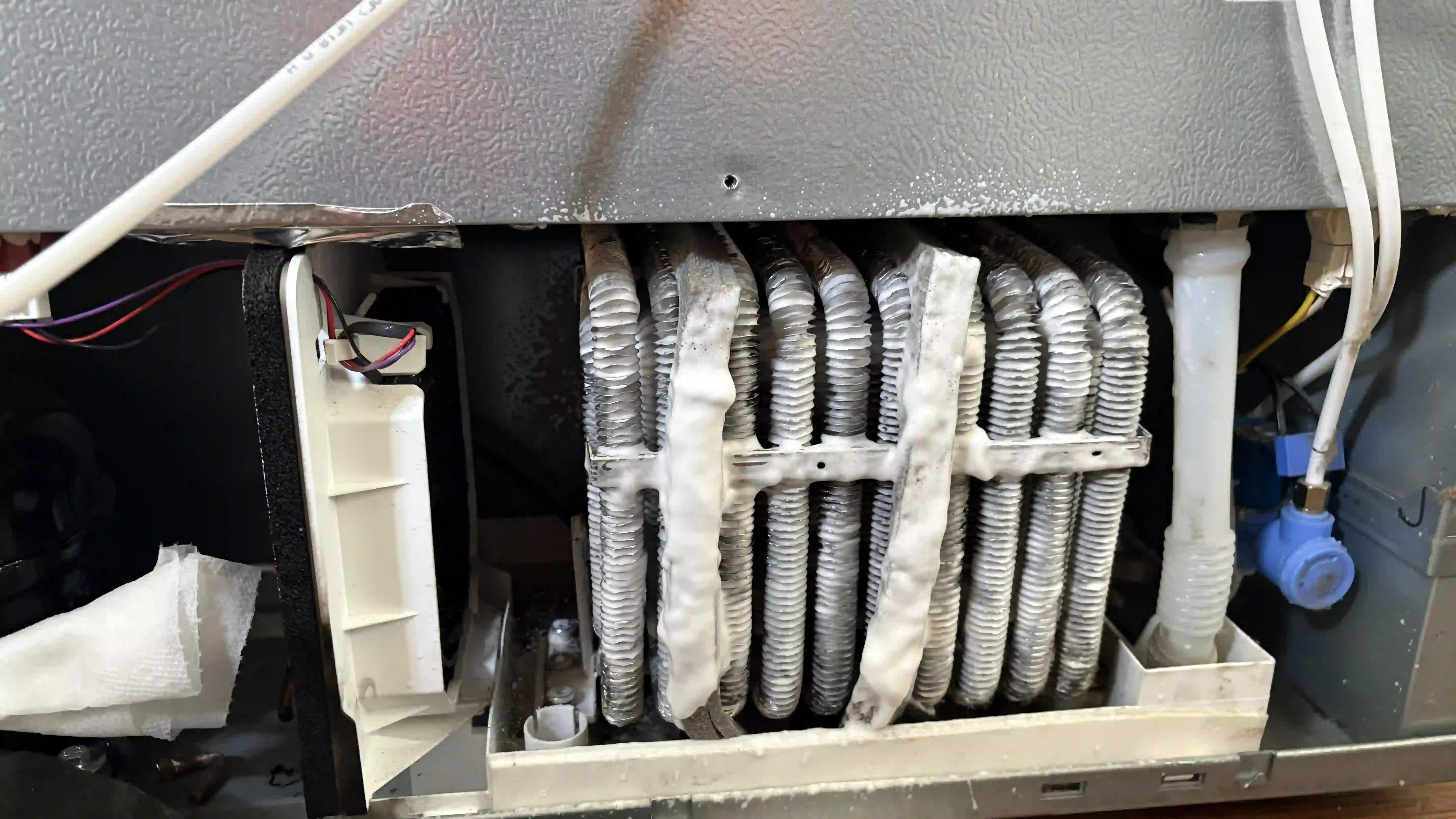 Bodega Evaporator Coil Repair